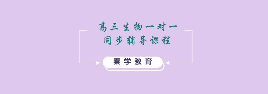 高三生物一对一同步辅导课程