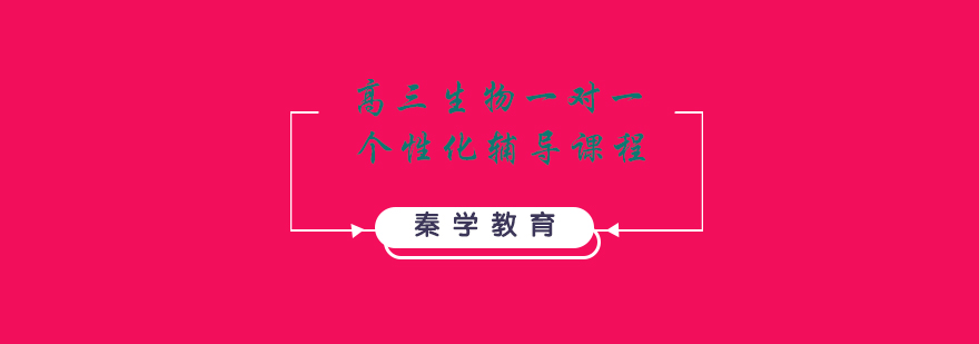 高三生物一对一个性化辅导课程