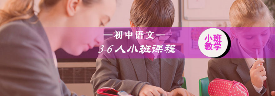 初中语文小班教学实景