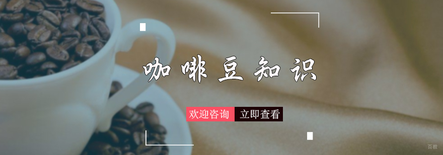 咖啡豆知识