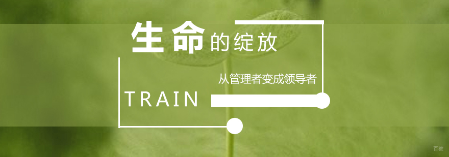 生命的绽放