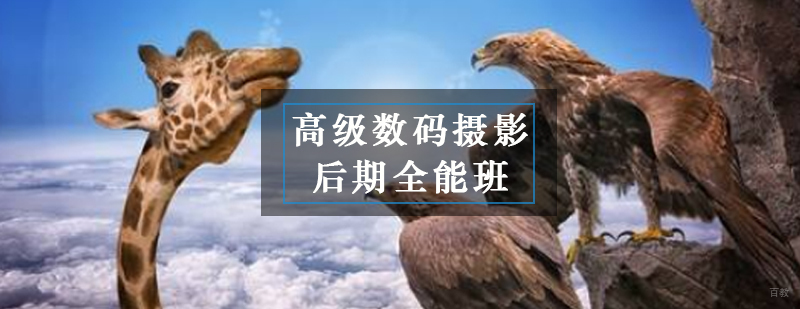 高级数码摄影后期全能班