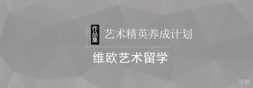 北京艺术精英养成计划-作品集辅导+一站式留学服务