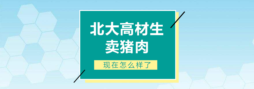 北大高材生卖猪肉现在怎么样了
