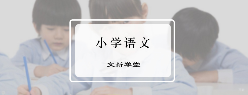 小学语文培训