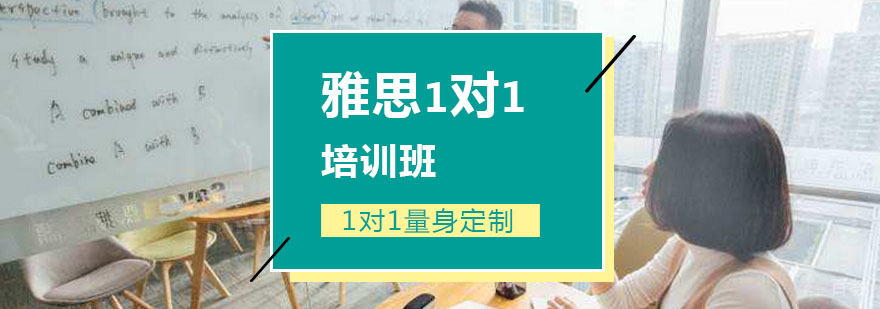 新通VIP一对一培训班