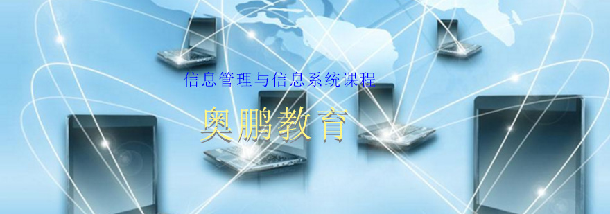 信息管理与信息系统课程