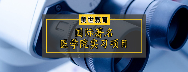 国际著名医学院实习项目