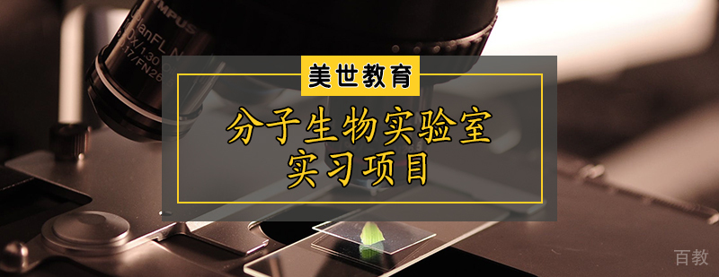 分子生物实验室实习项目