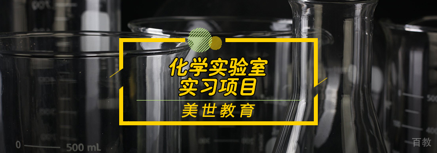 化学实验室实习项目