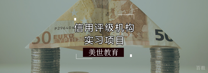 信用评级机构实习项目