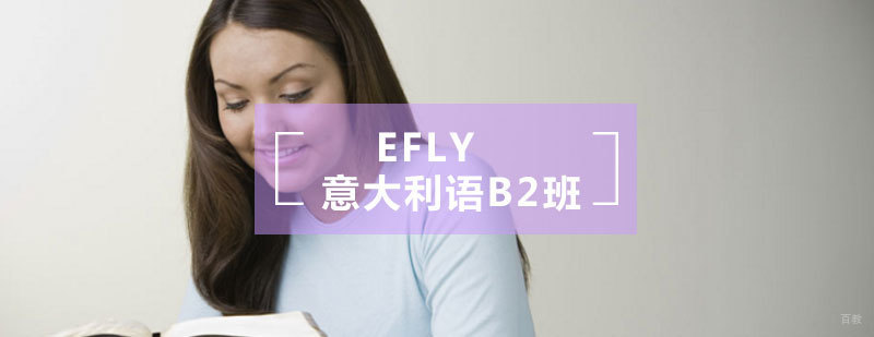 eFly意大利语B2班课程实景