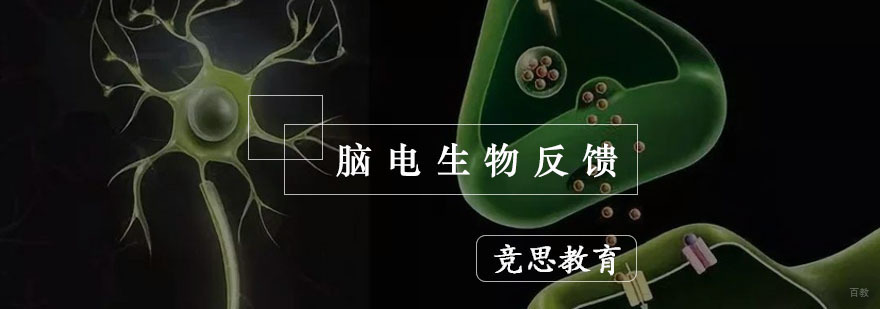 杭州脑电生物反馈-脑电生物反馈训练-杭州竞思教育 杭州脑电生物反馈