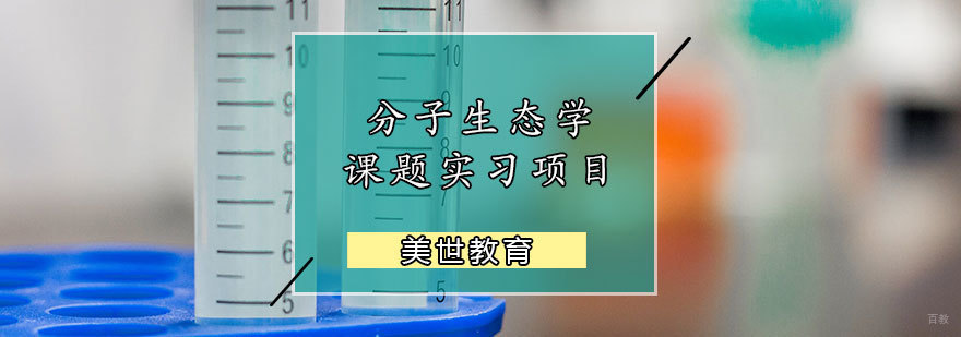 分子生态学课题实习项目