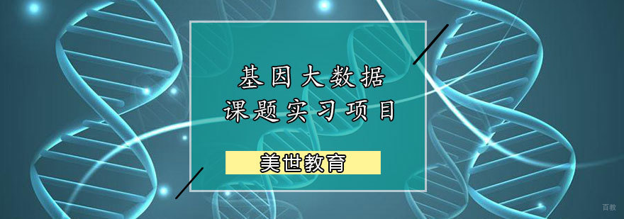 基因大数据课题实习项目