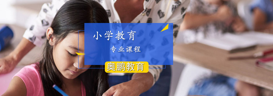 小学教育专业课程
