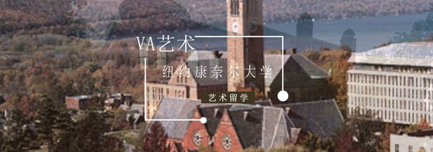 康奈尔大学办理