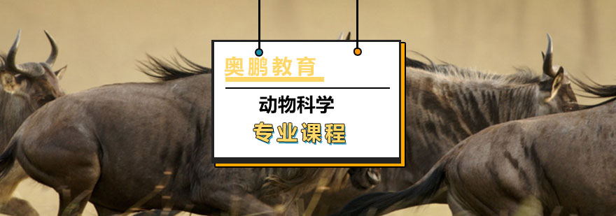 动物科学专业课程