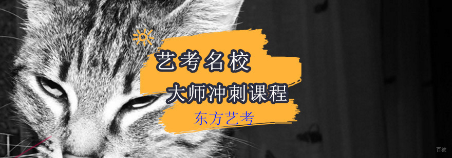 艺考大师冲刺课程