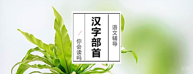 汉字部首你会读吗