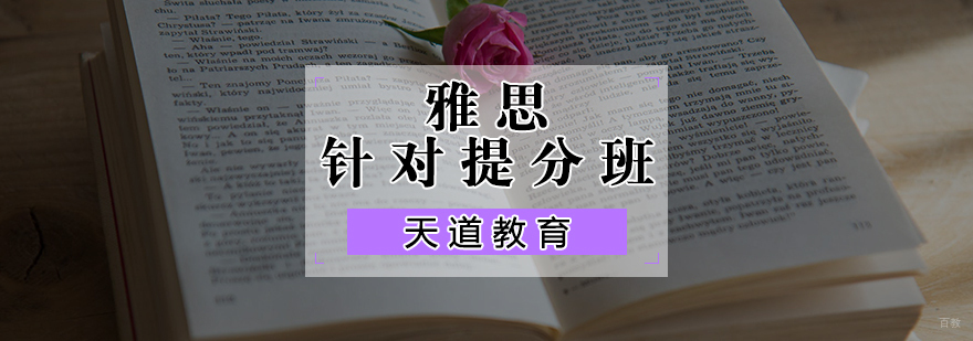 雅思针对提分班