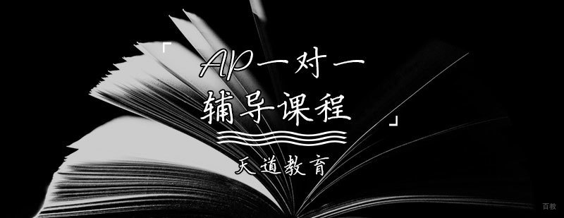 AP一对一辅导课程