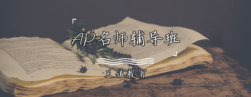 AP辅导班