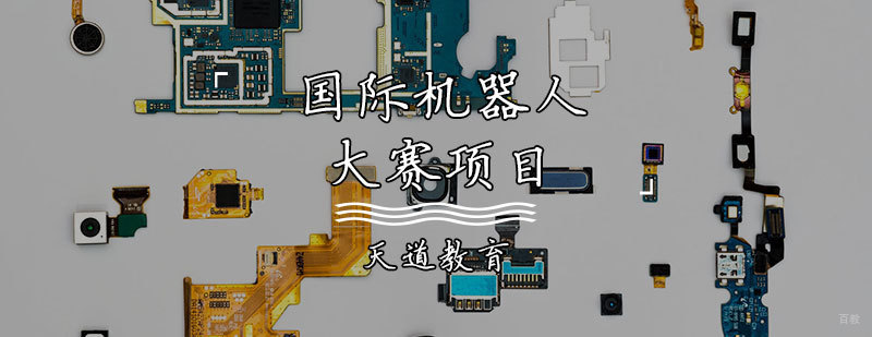 国际机器人大赛项目