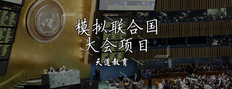 模拟联合国大会项目