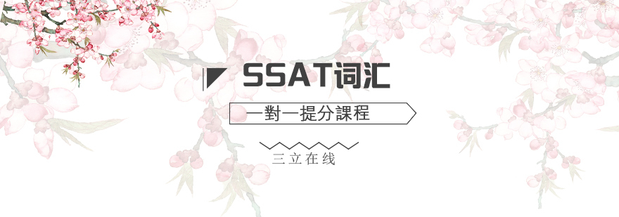 SSAT词汇一对一提分课程