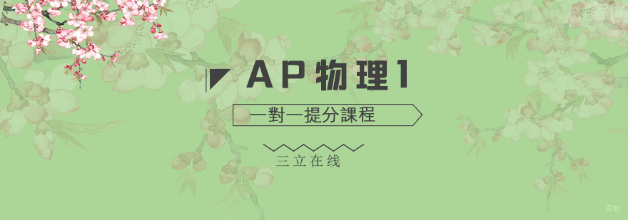 AP物理1一对一提分课程