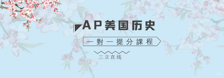 AP美国历史一对一提分课程