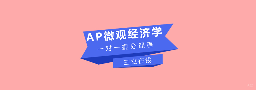 AP微观经济学一对一提分课程
