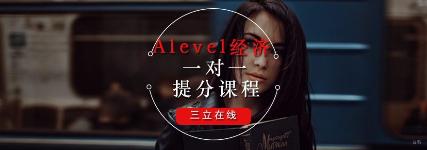 Alevel经济定制化教学