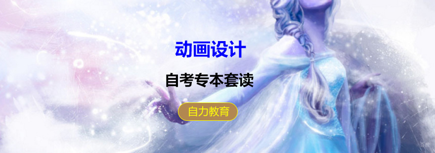 动画设计培训