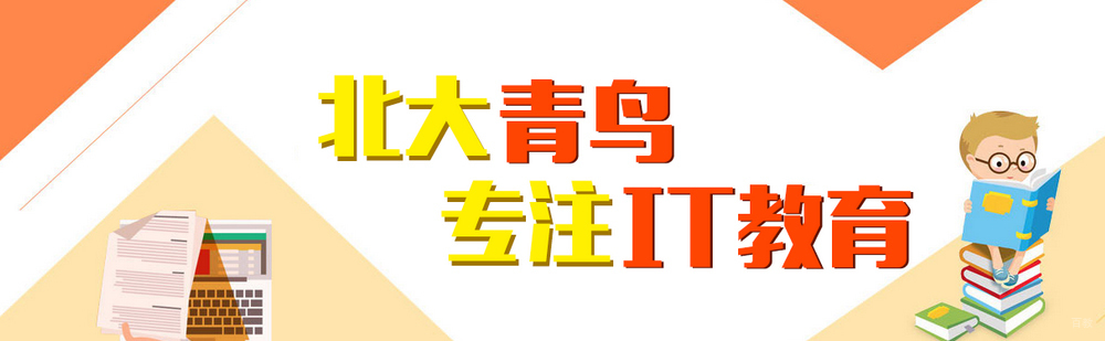 北京北大青鸟简介
