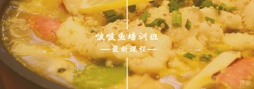 啵啵鱼培训课程