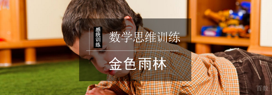 北京数学思维训练课程-数学思维训练课-北京金色雨林