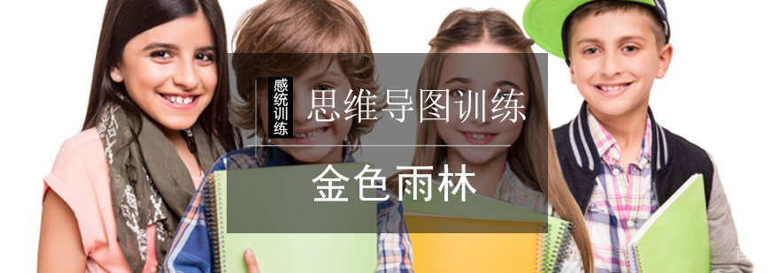 北京思维导图训练课-思维导图训练-北京金色雨林