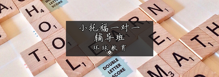 小托福一对一辅导班
