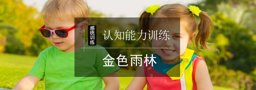北京认知能力训练-认知能力训练-北京金色雨林