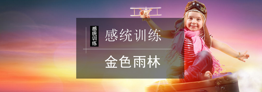 北京感统训练课程-感统训练机构-北京金色雨林
