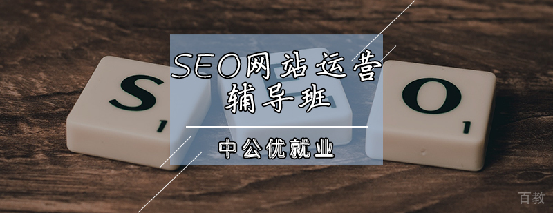 SEO网站运营辅导班