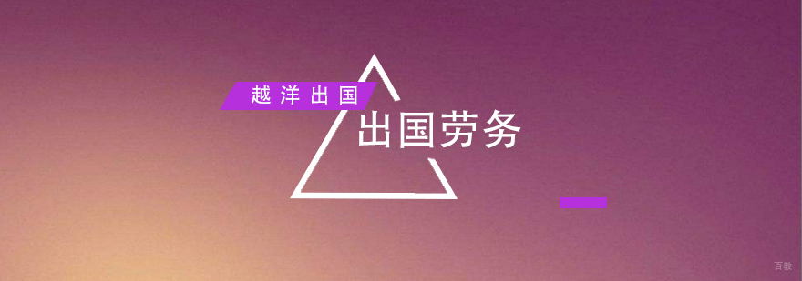 跨境指导