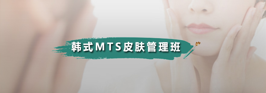 韩式MTS皮肤管理班