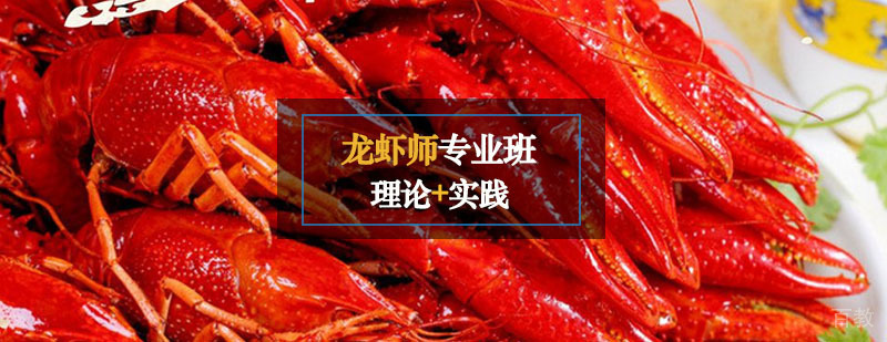 龙虾师课程