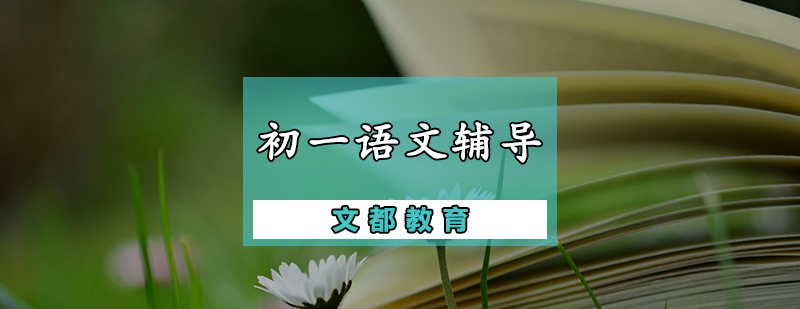初一语文辅导课程