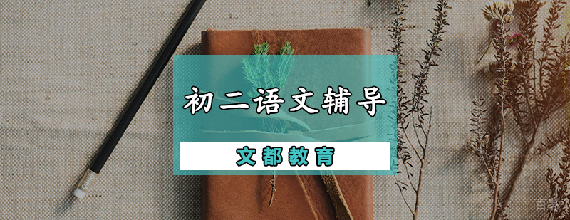 初二语文辅导课程