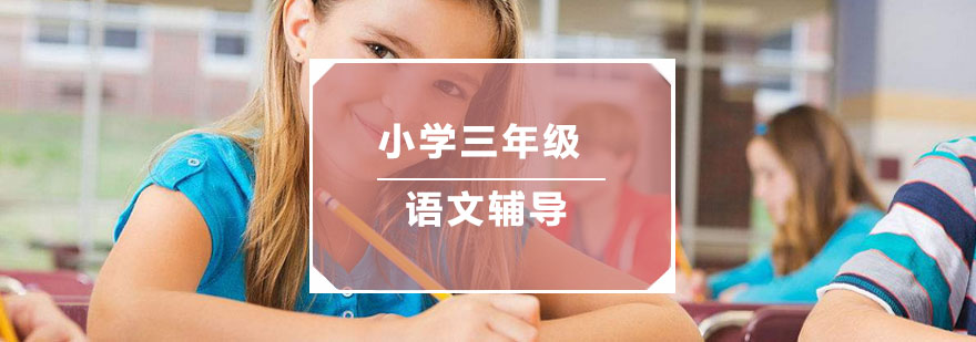 杭州小学三年级语文辅导