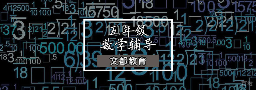 五年级数学辅导课程
